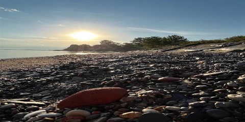 showse park beach and cliff