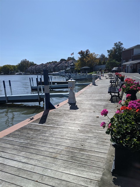 boat docks flowers benches water plant